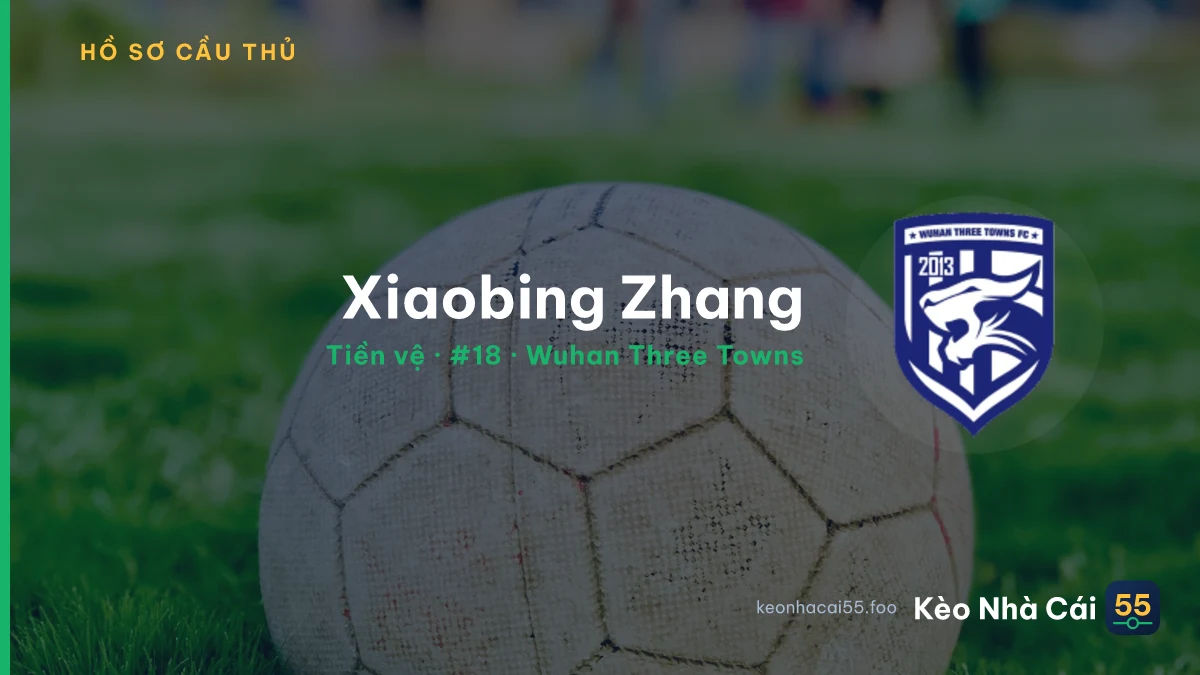 Xiaobing Zhang — Wuhan Three Towns
