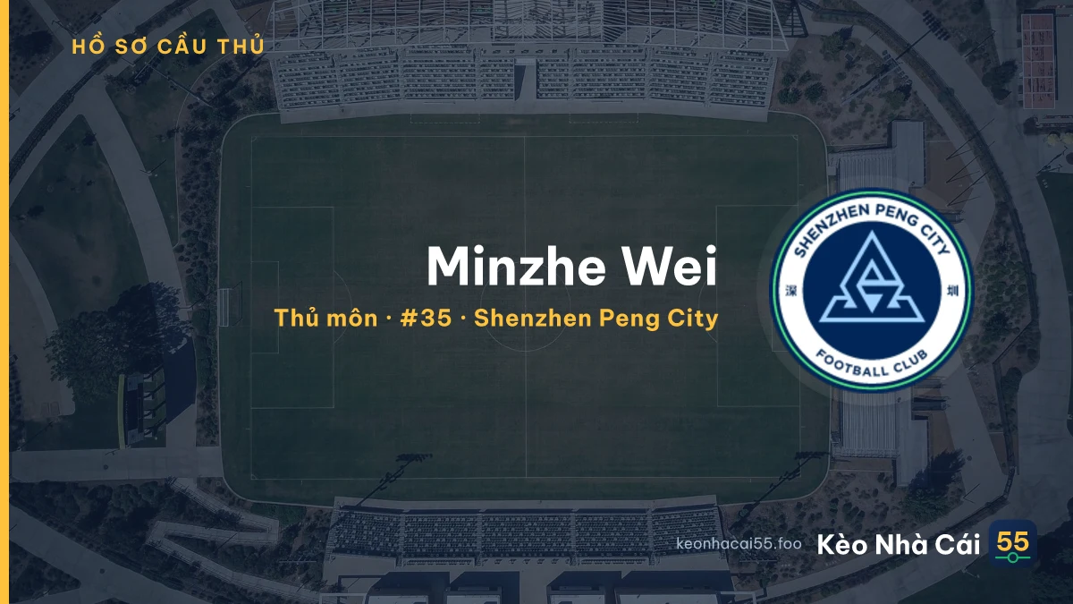 Minzhe Wei — Shenzhen Peng City