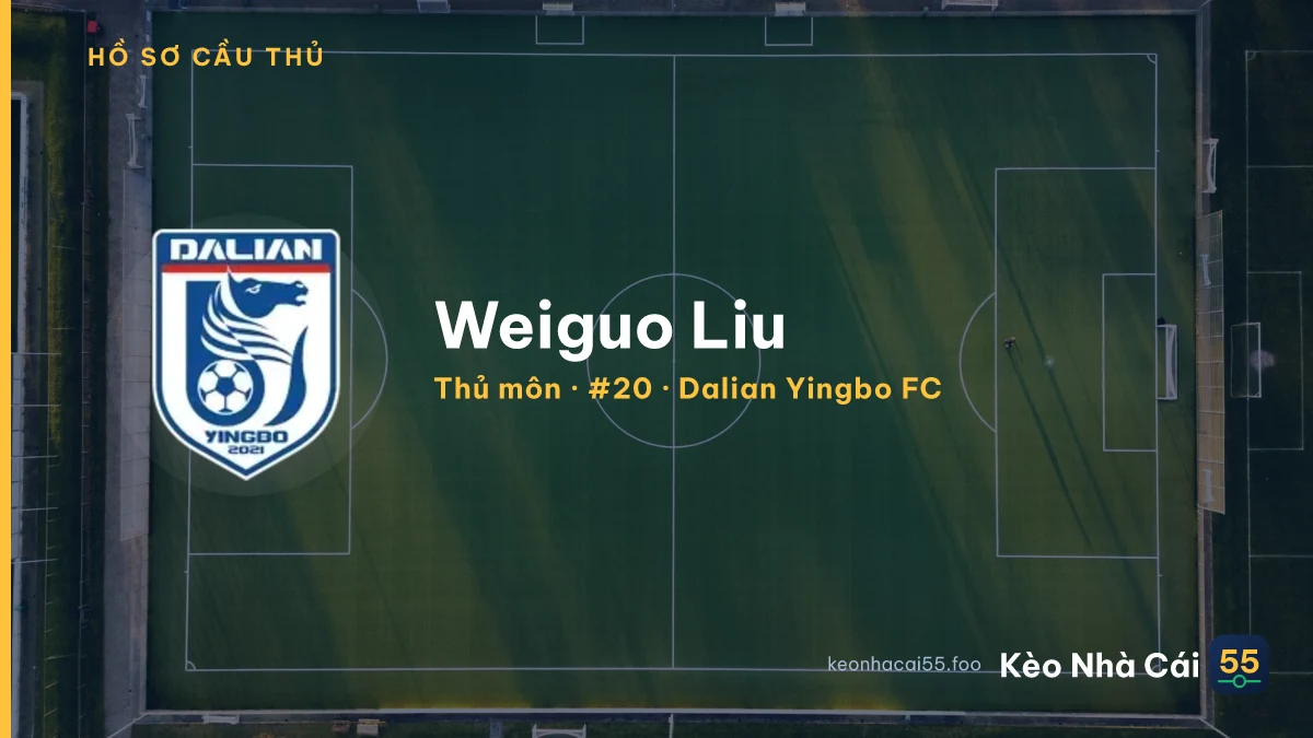 Weiguo Liu — Dalian Yingbo FC