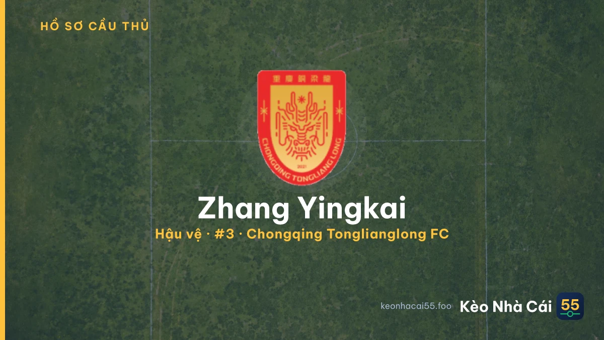 Zhang Yingkai — Chongqing Tonglianglong FC