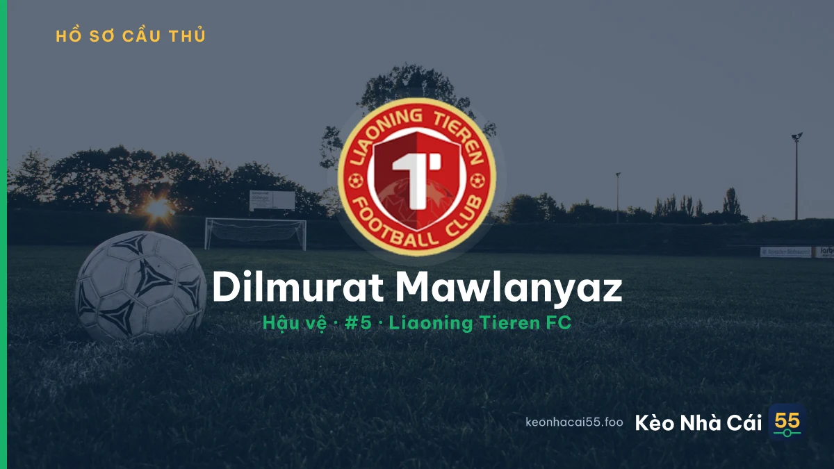 Dilmurat Mawlanyaz — Liaoning Tieren FC