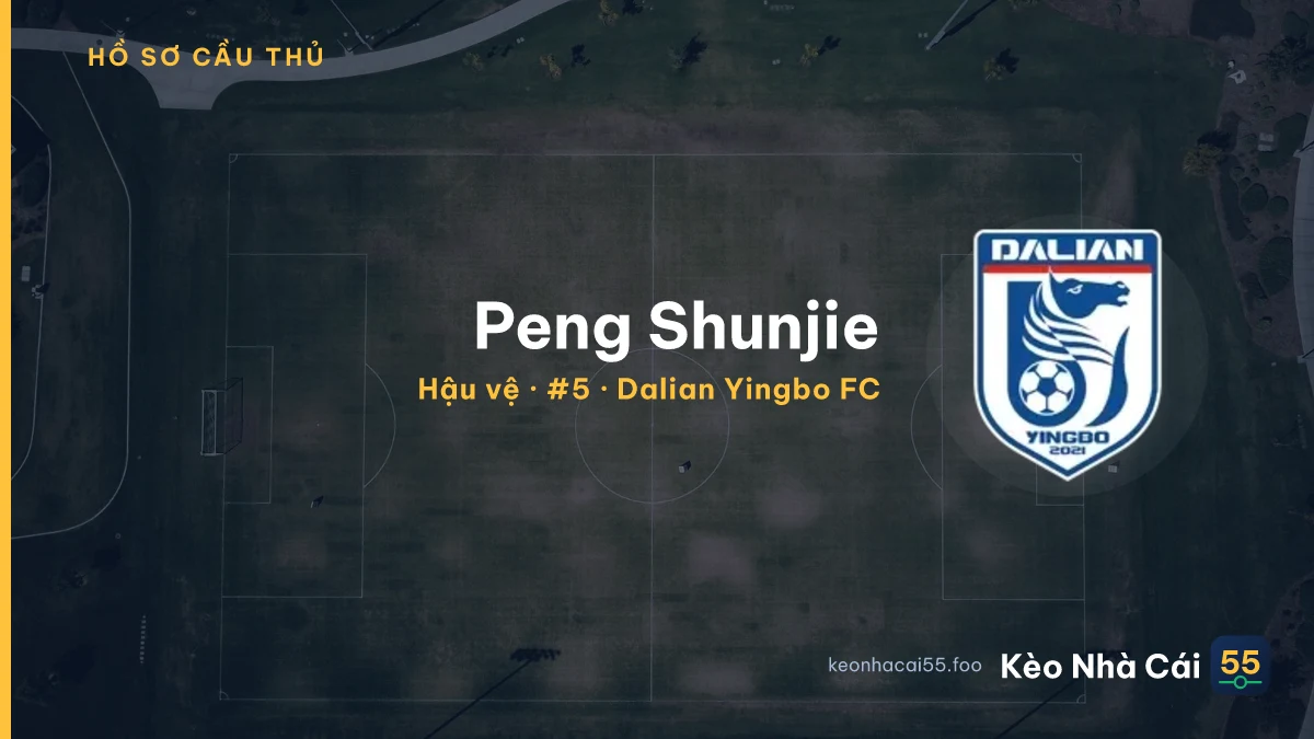 Peng Shunjie — Dalian Yingbo FC