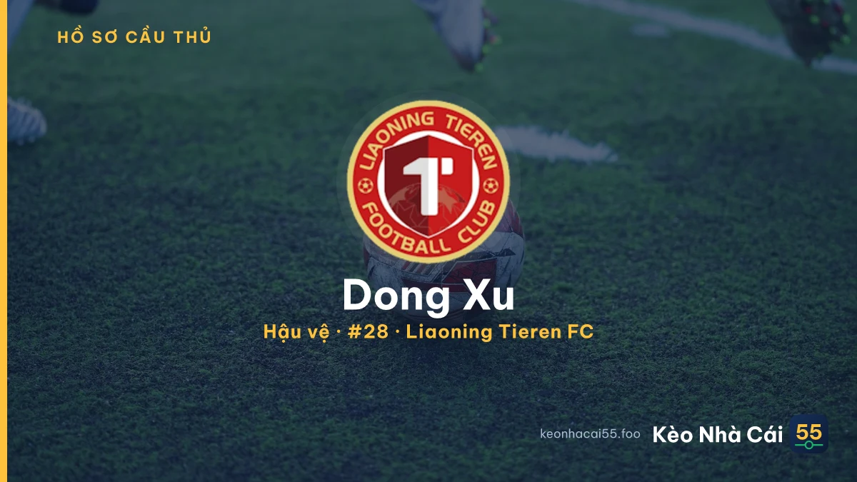 Dong Xu — Liaoning Tieren FC