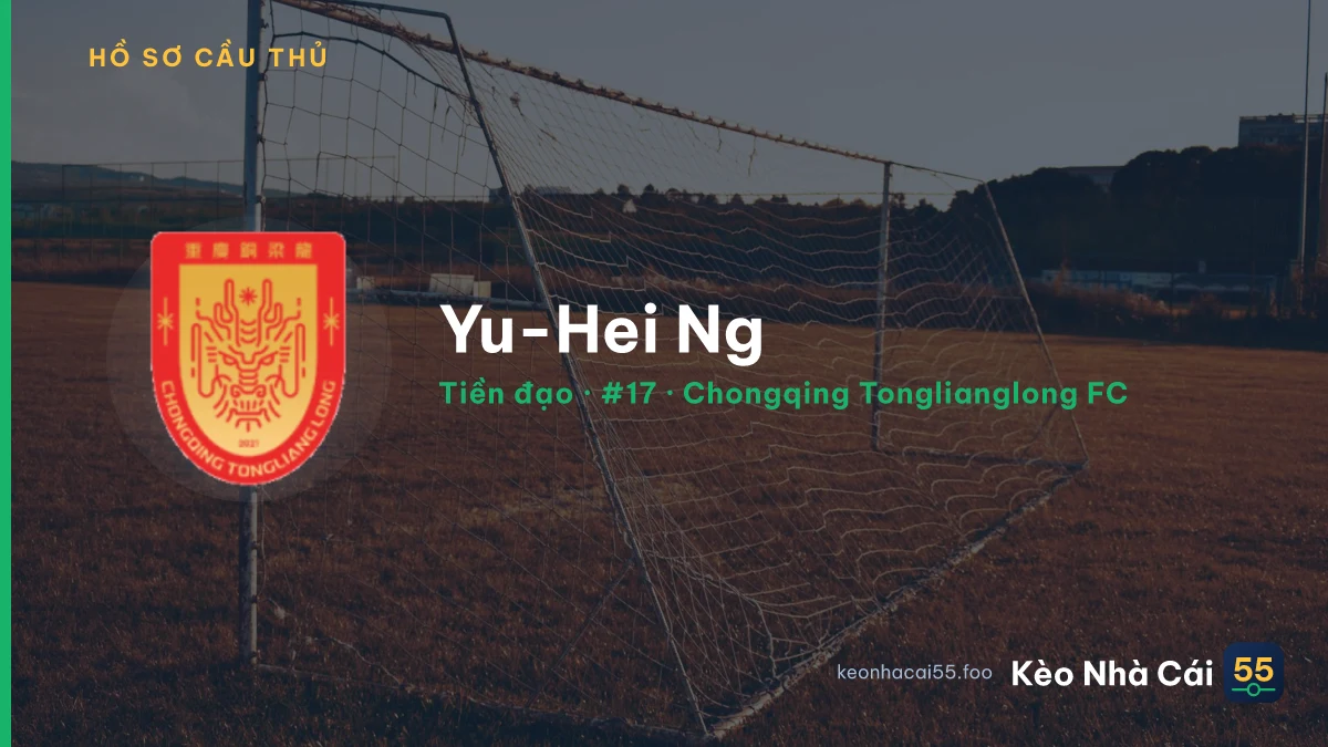 Yu-Hei Ng — Chongqing Tonglianglong FC