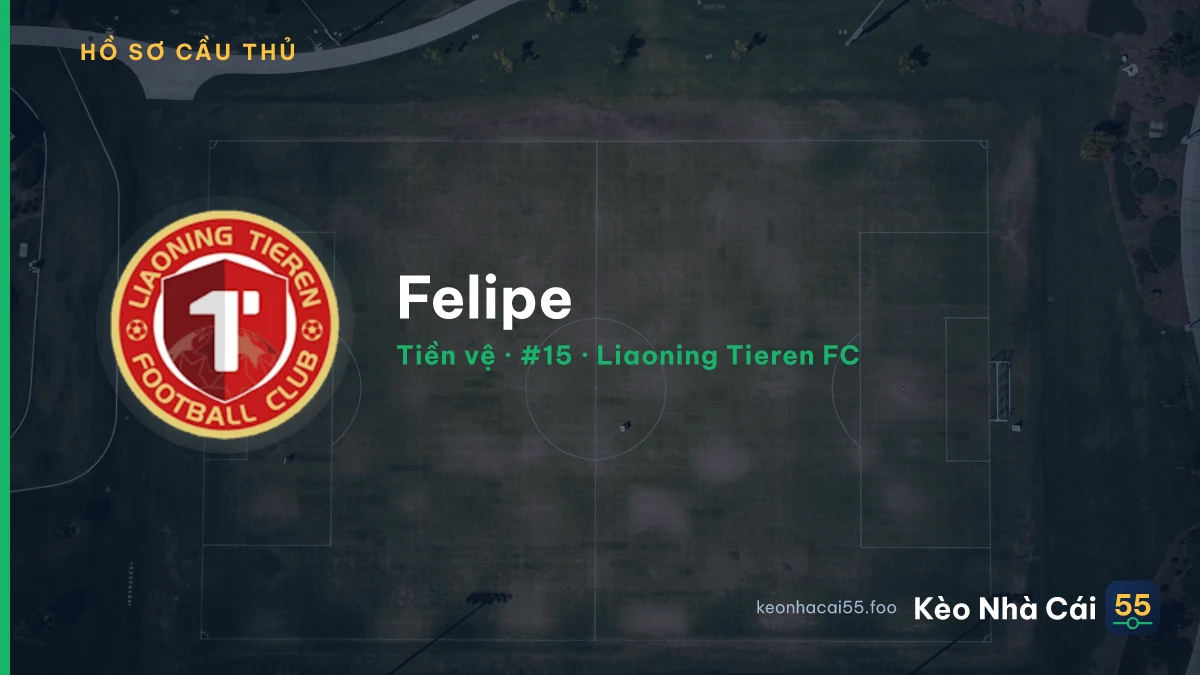 Felipe — Liaoning Tieren FC