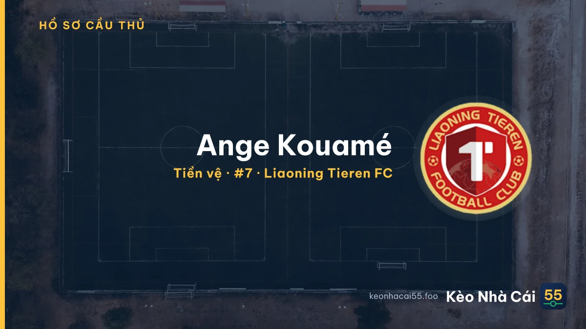 Ange Kouamé — Liaoning Tieren FC