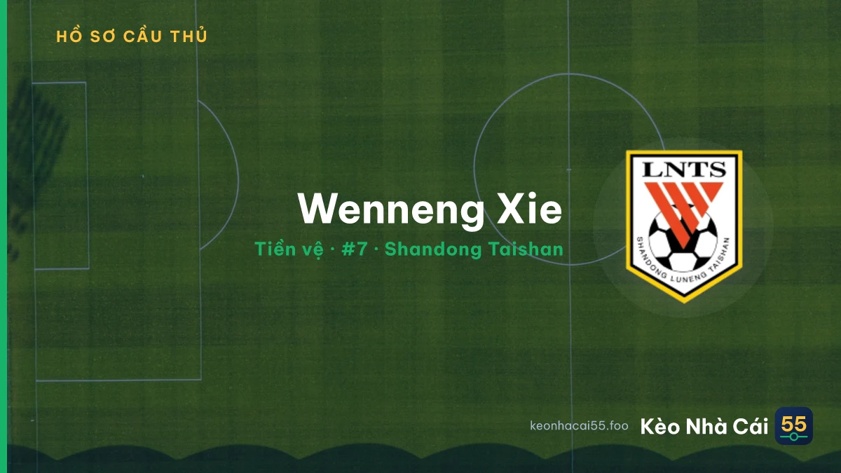 Wenneng Xie — Shandong Taishan