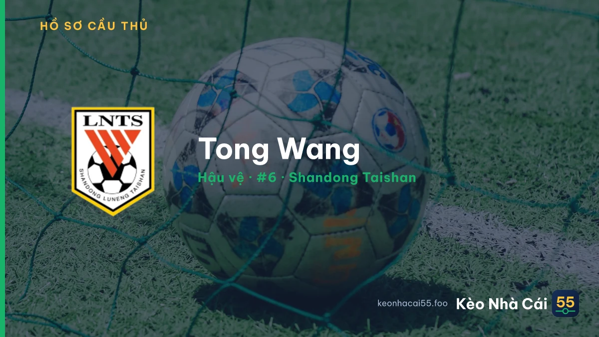 Tong Wang — Shandong Taishan