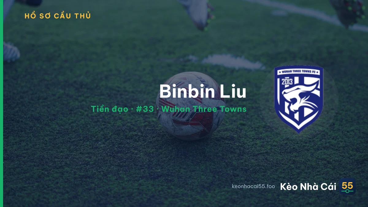 Binbin Liu — Wuhan Three Towns