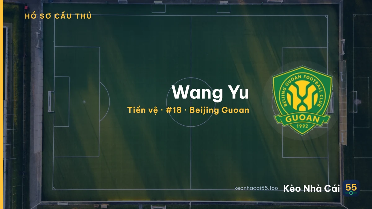 Wang Yu — Beijing Guoan