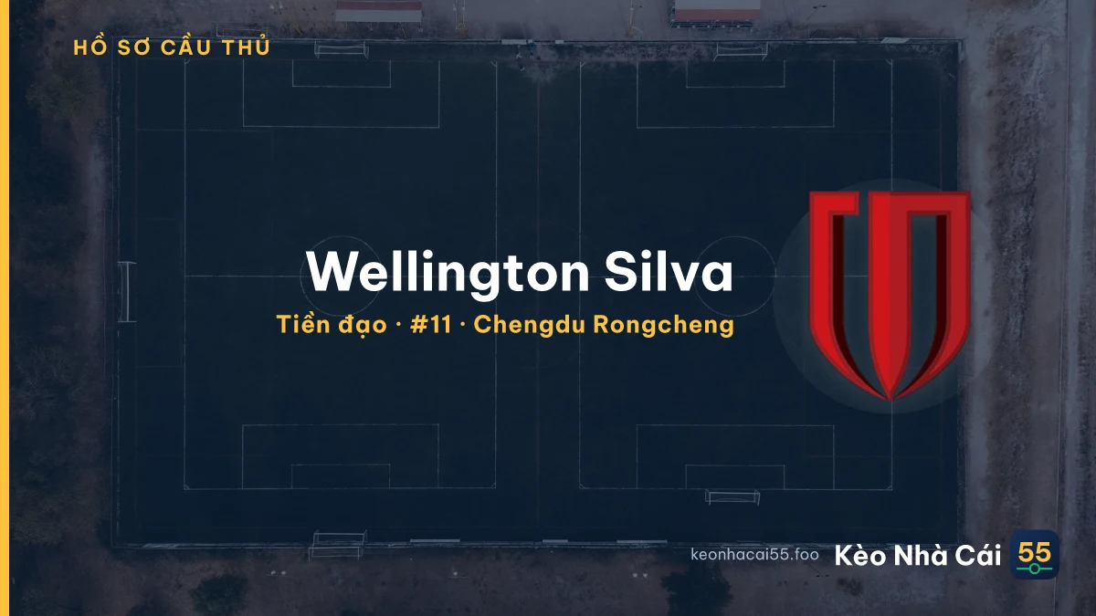 Wellington Silva — Chengdu Rongcheng