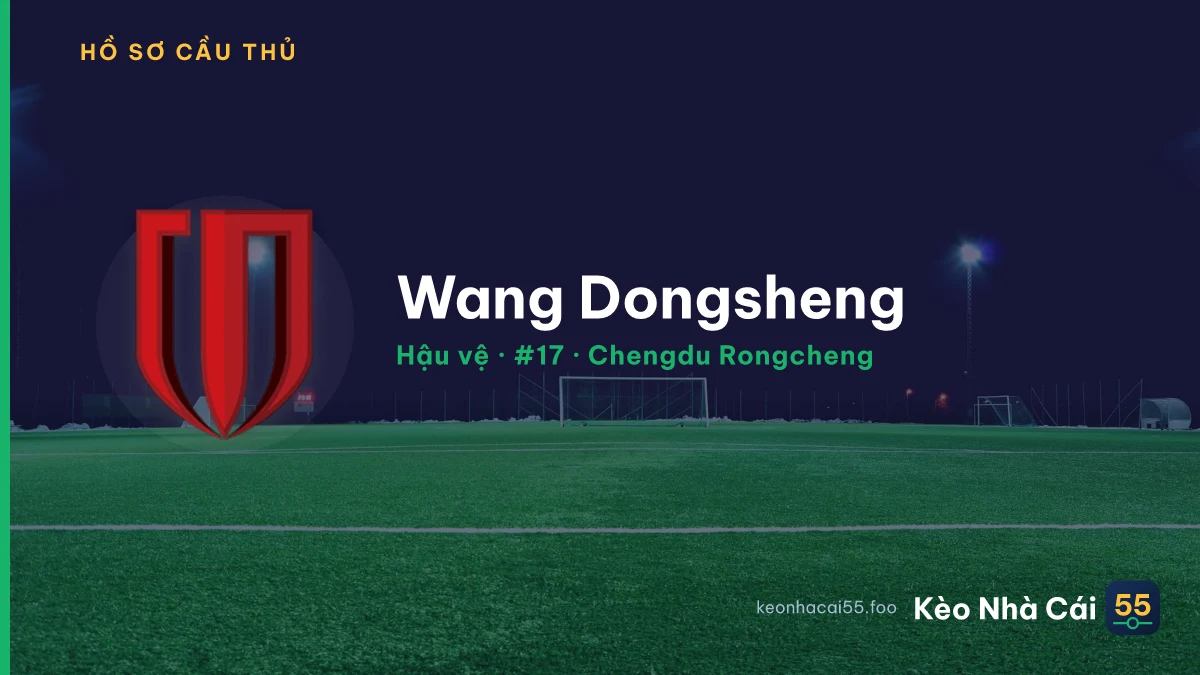 Wang Dongsheng — Chengdu Rongcheng
