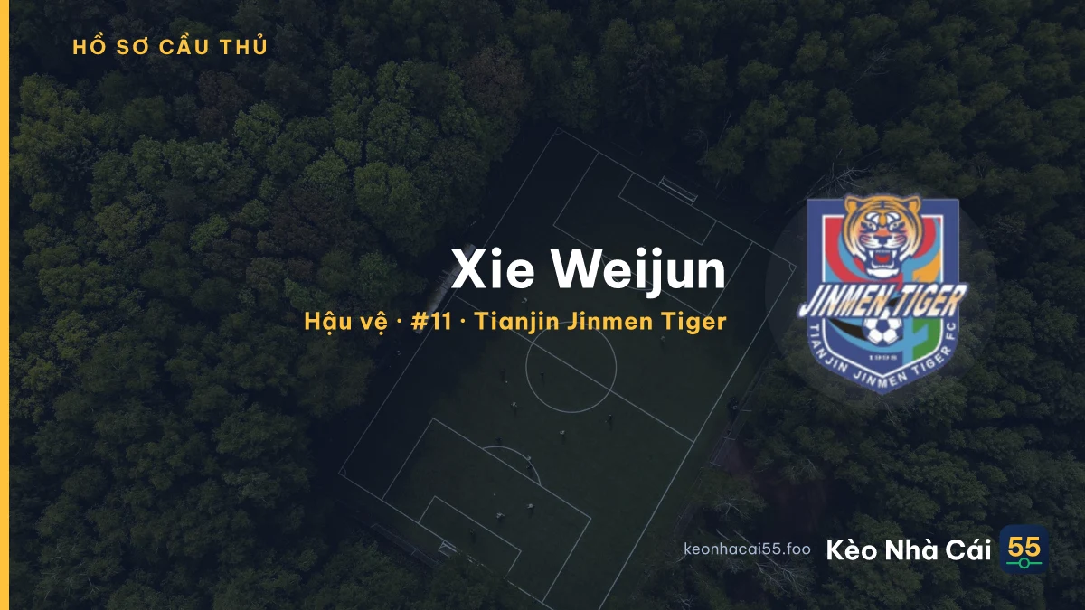 Xie Weijun — Tianjin Jinmen Tiger
