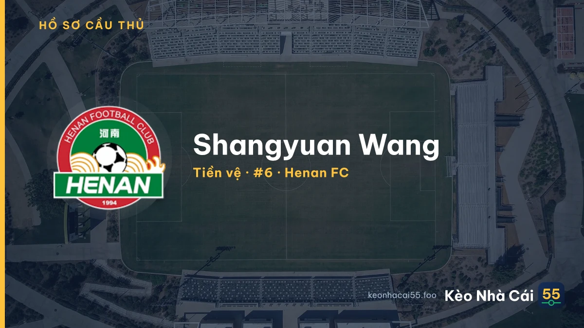 Shangyuan Wang — Henan FC