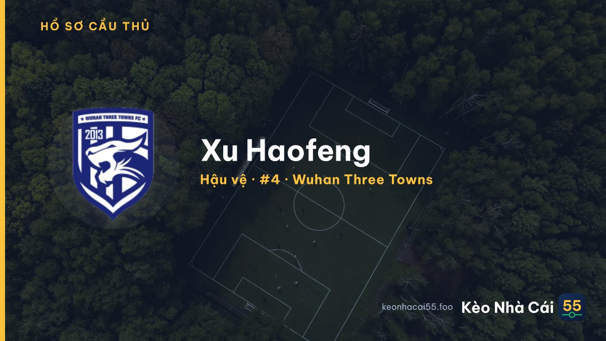 Xu Haofeng — Wuhan Three Towns