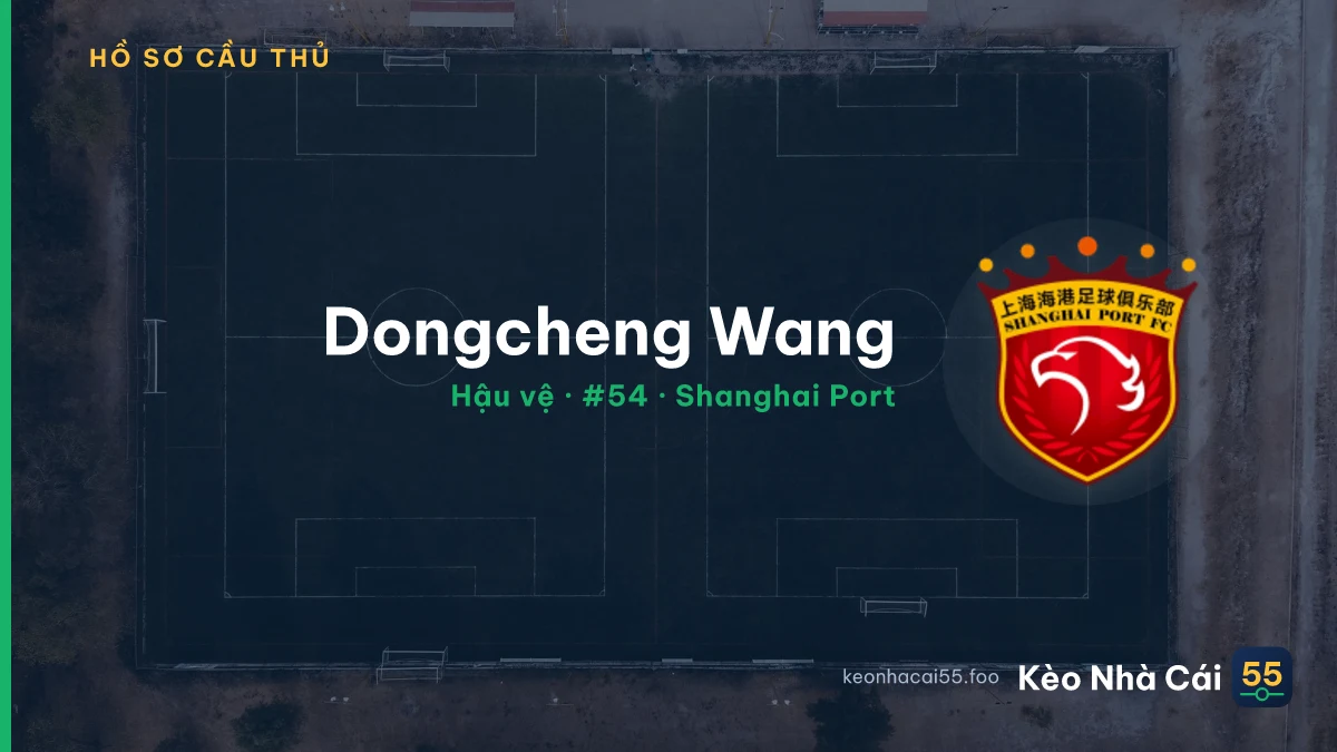 Dongcheng  Wang — Shanghai Port