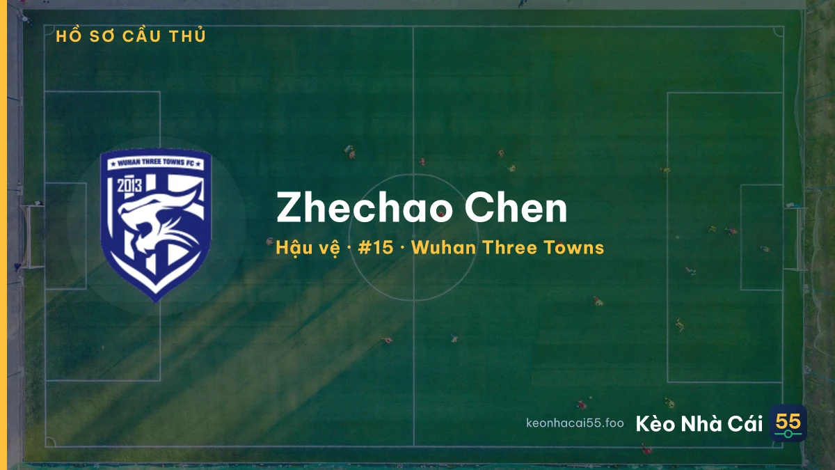 Zhechao Chen — Wuhan Three Towns