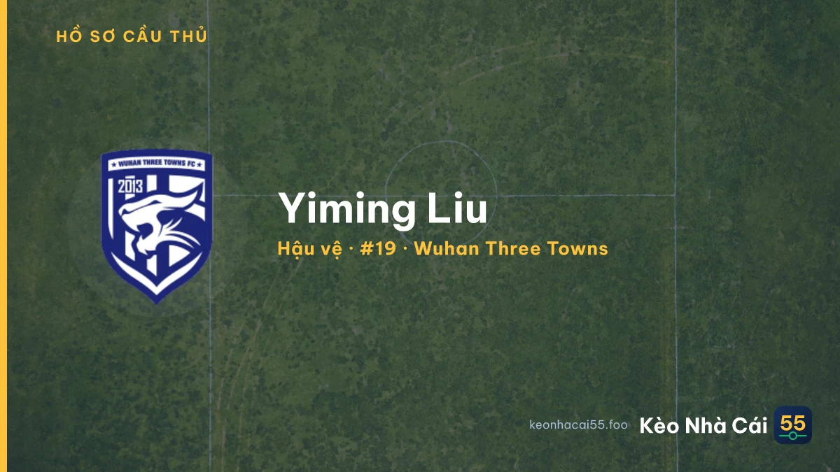Yiming Liu — Wuhan Three Towns