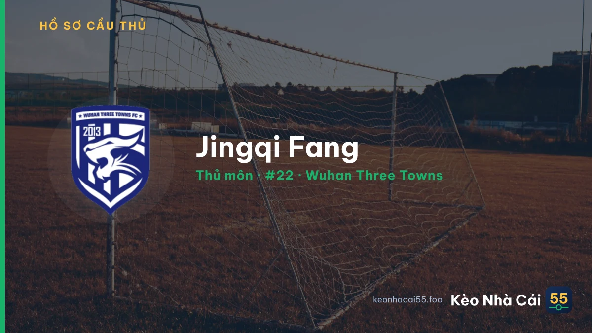 Jingqi Fang — Wuhan Three Towns