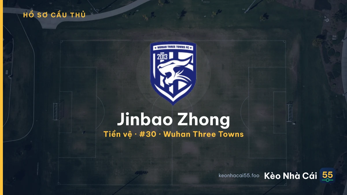 Jinbao Zhong — Wuhan Three Towns
