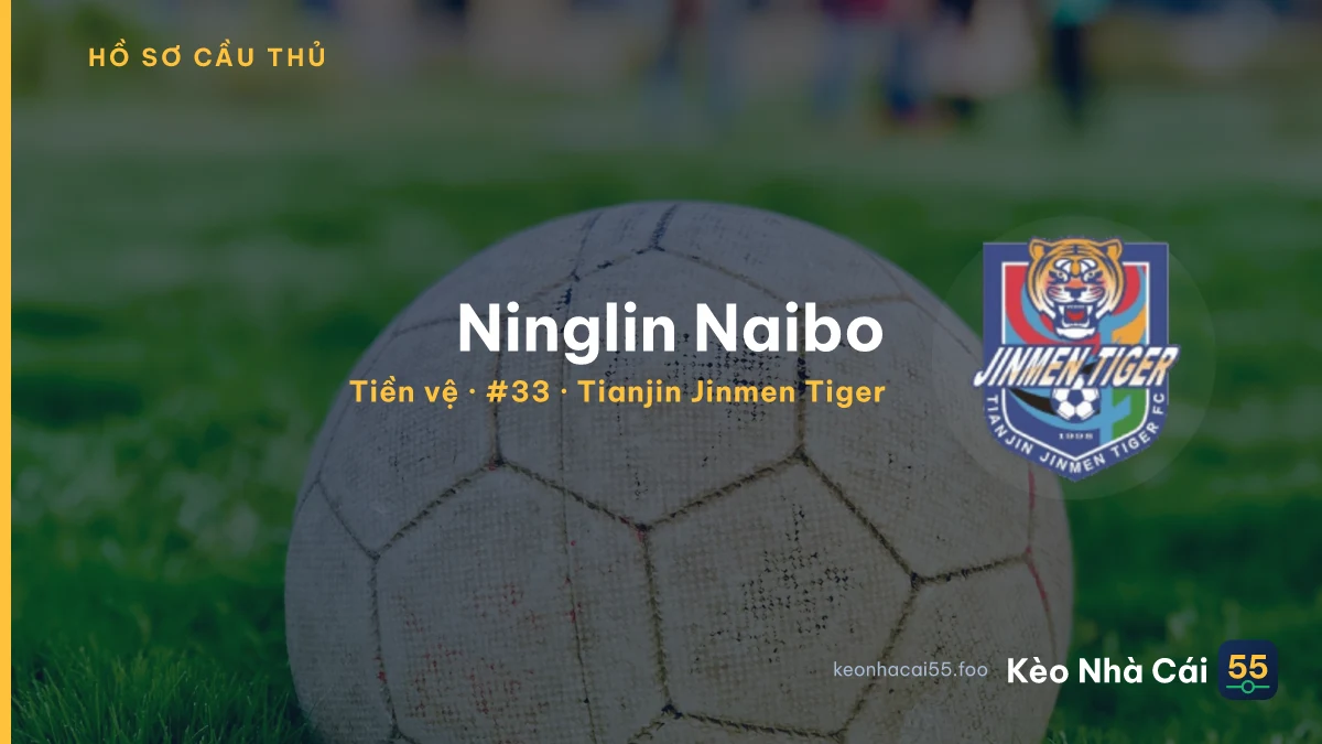 Ninglin Naibo — Tianjin Jinmen Tiger