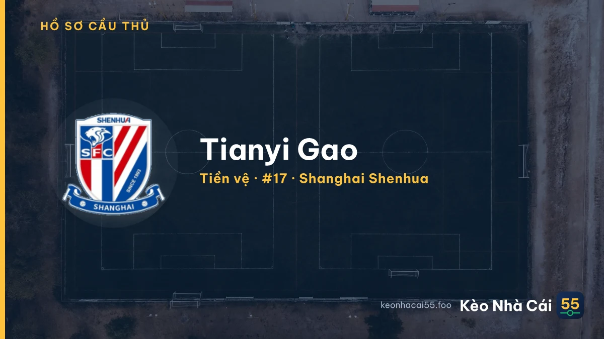 Tianyi Gao — Shanghai Shenhua