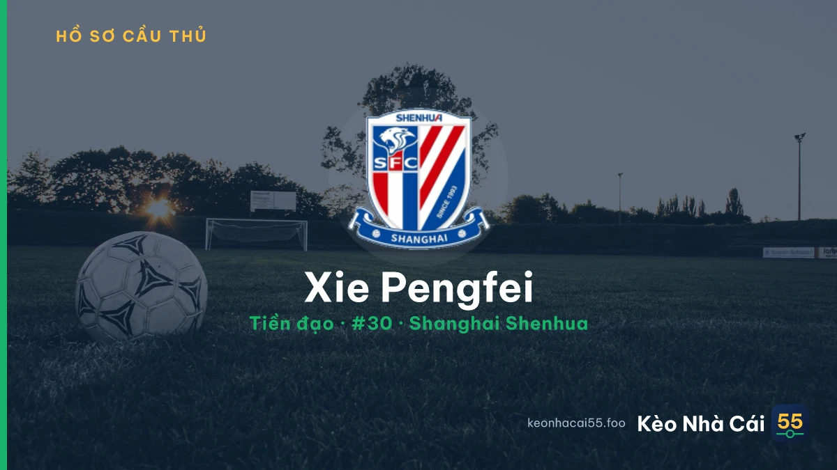 Xie Pengfei — Shanghai Shenhua