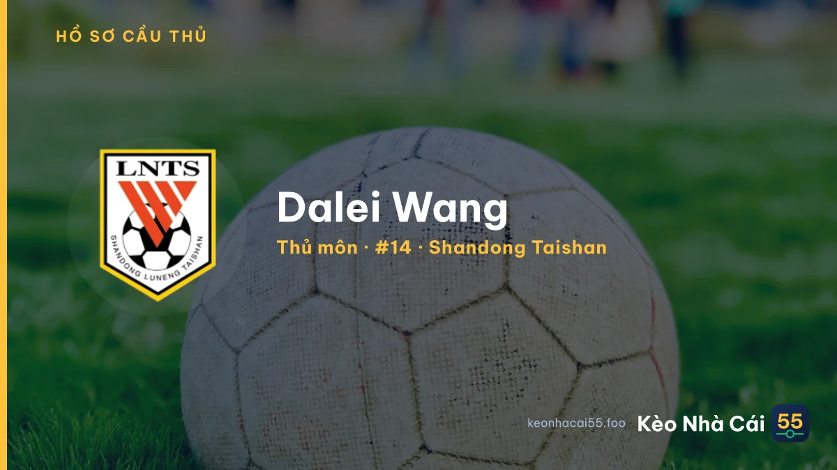 Dalei Wang — Shandong Taishan