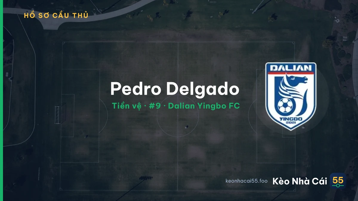 Pedro Delgado — Dalian Yingbo FC
