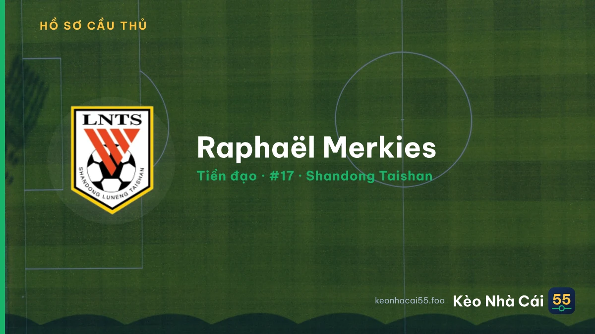 Raphaël Merkies — Shandong Taishan
