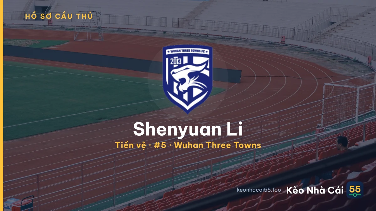 Shenyuan Li — Wuhan Three Towns
