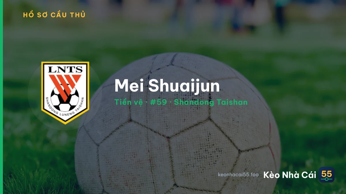 Mei Shuaijun — Shandong Taishan