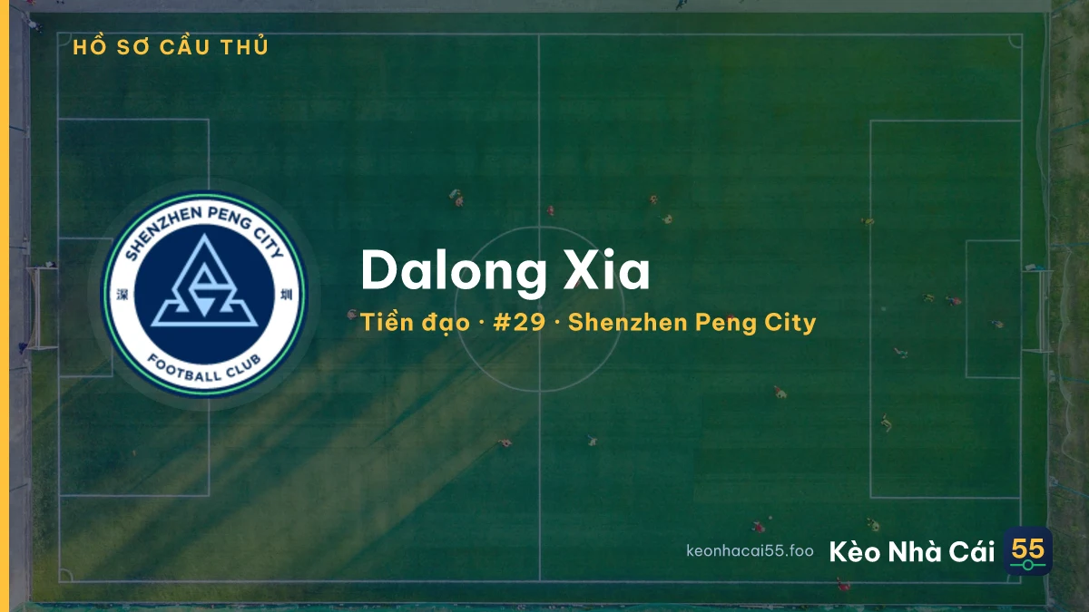Dalong Xia — Shenzhen Peng City