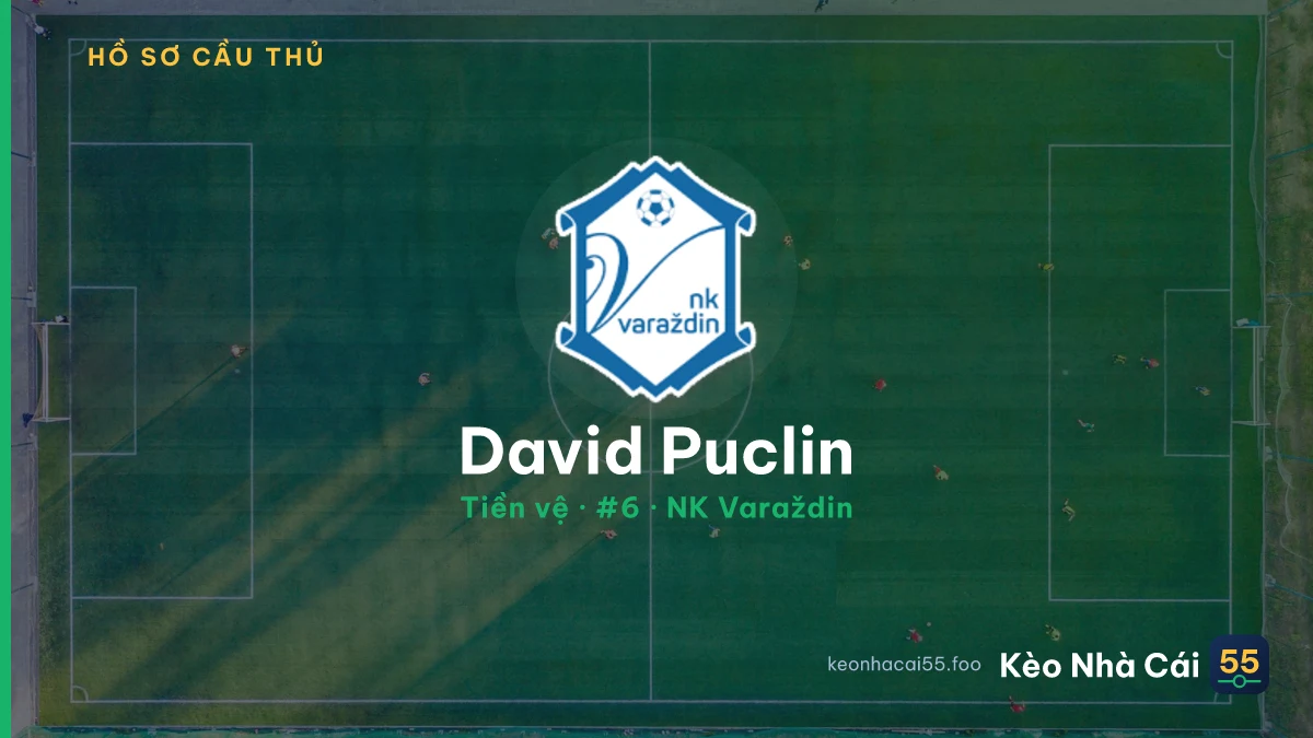 David Puclin — NK Varaždin