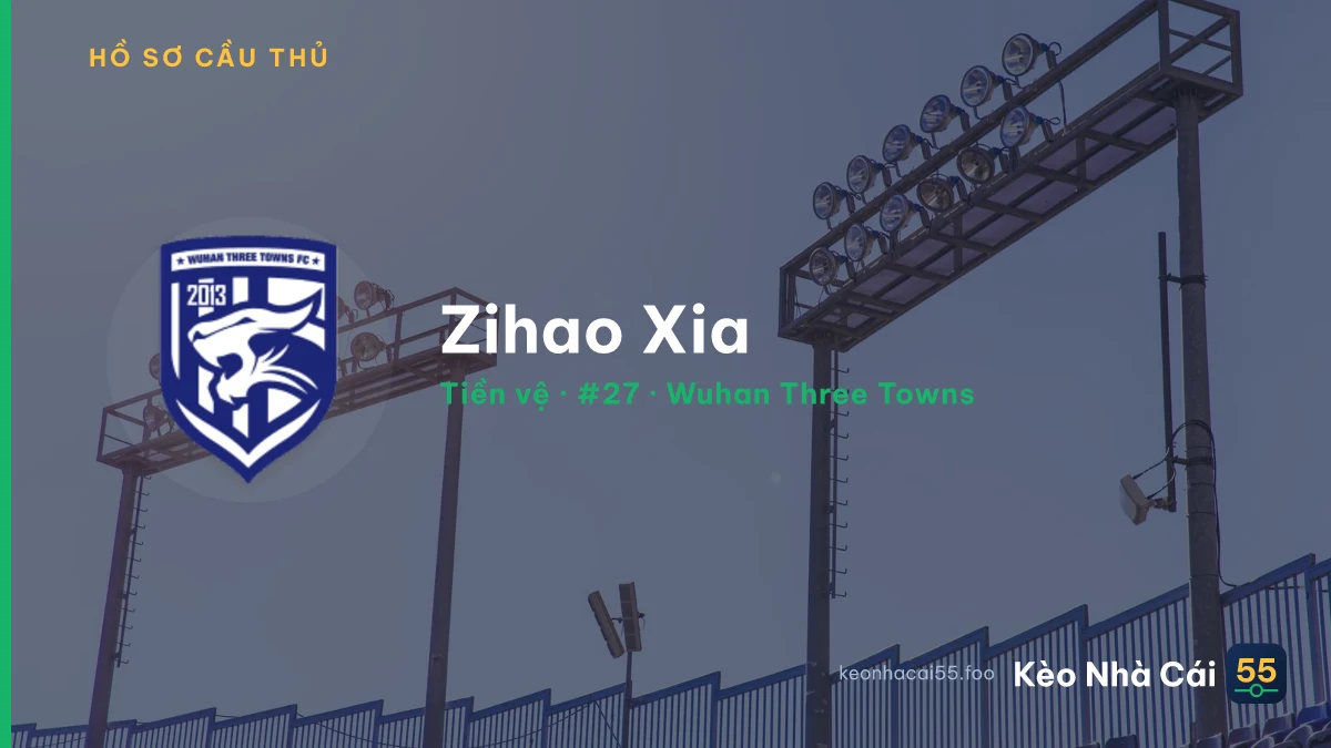 Zihao Xia — Wuhan Three Towns