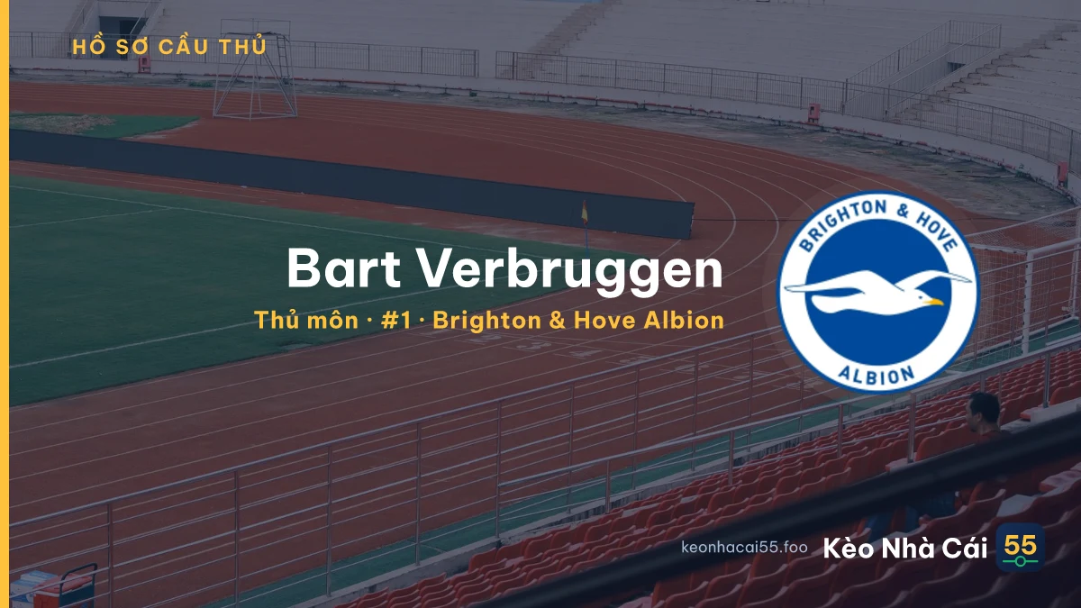 Bart Verbruggen — Brighton & Hove Albion