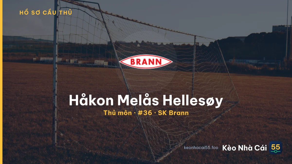 Håkon Melås Hellesøy — SK Brann