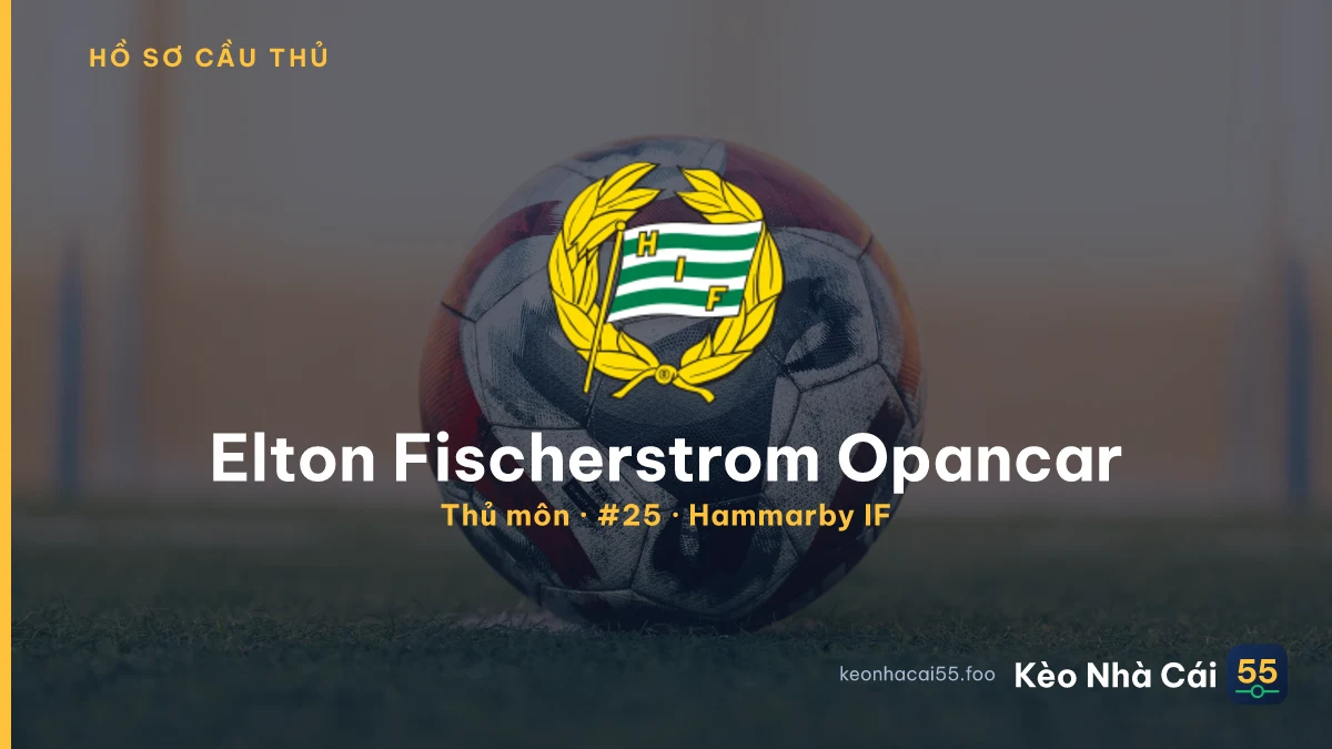Elton Fischerstrom Opancar — Hammarby IF