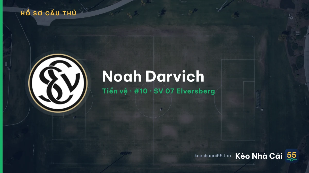 Noah Darvich — SV 07 Elversberg