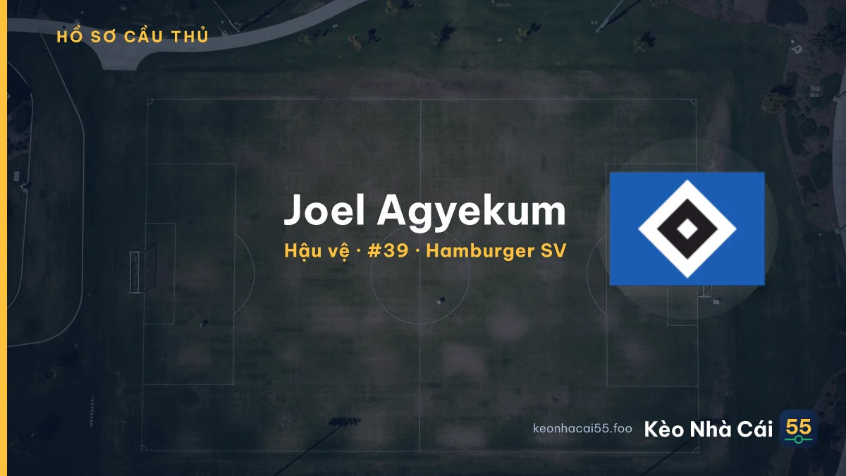 Joel Agyekum — Hamburger SV