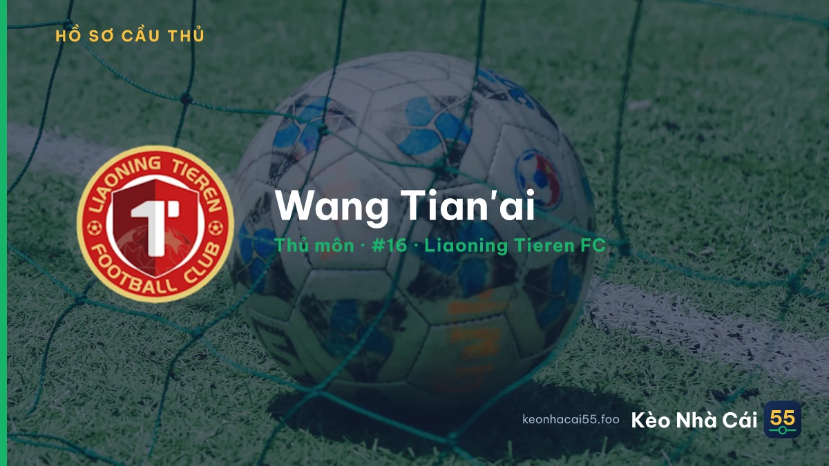 Wang Tian'ai — Liaoning Tieren FC