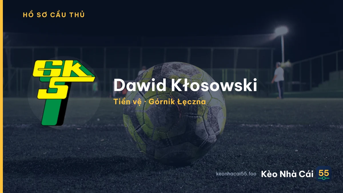 Dawid Kłosowski — Górnik Łęczna