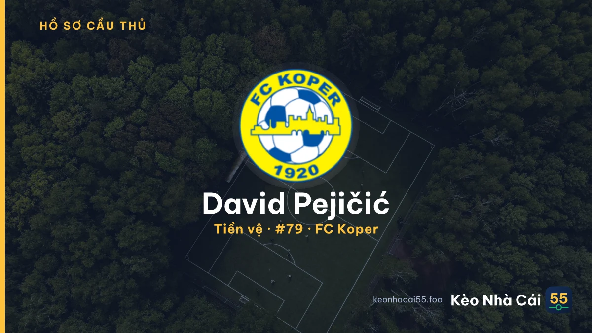 David Pejičić — FC Koper