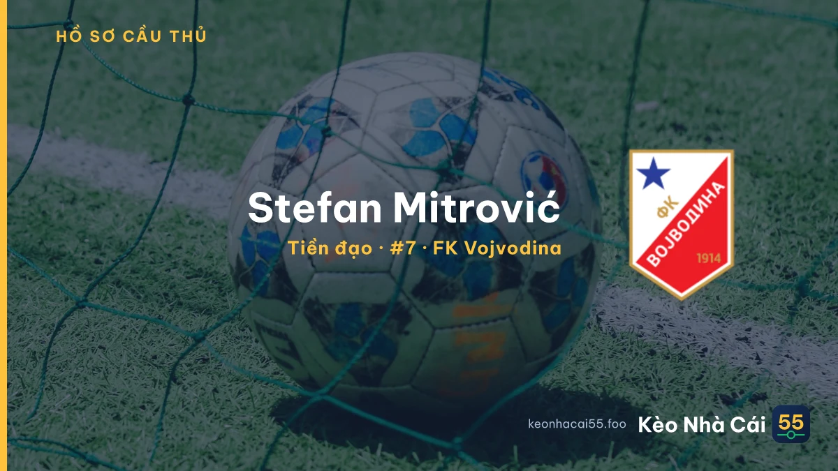 Stefan Mitrović — FK Vojvodina