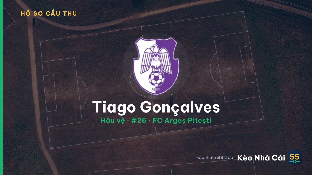 Tiago Gonçalves — FC Argeș Pitești