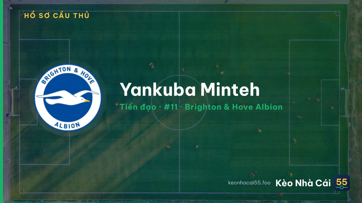 Yankuba Minteh — Brighton & Hove Albion
