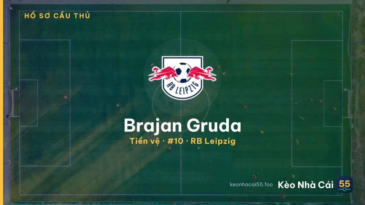Brajan Gruda — RB Leipzig