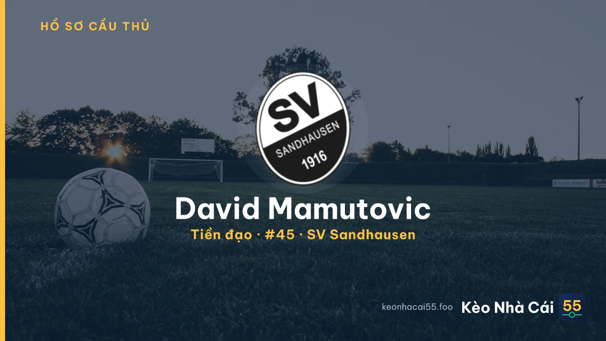 David Mamutovic — SV Sandhausen