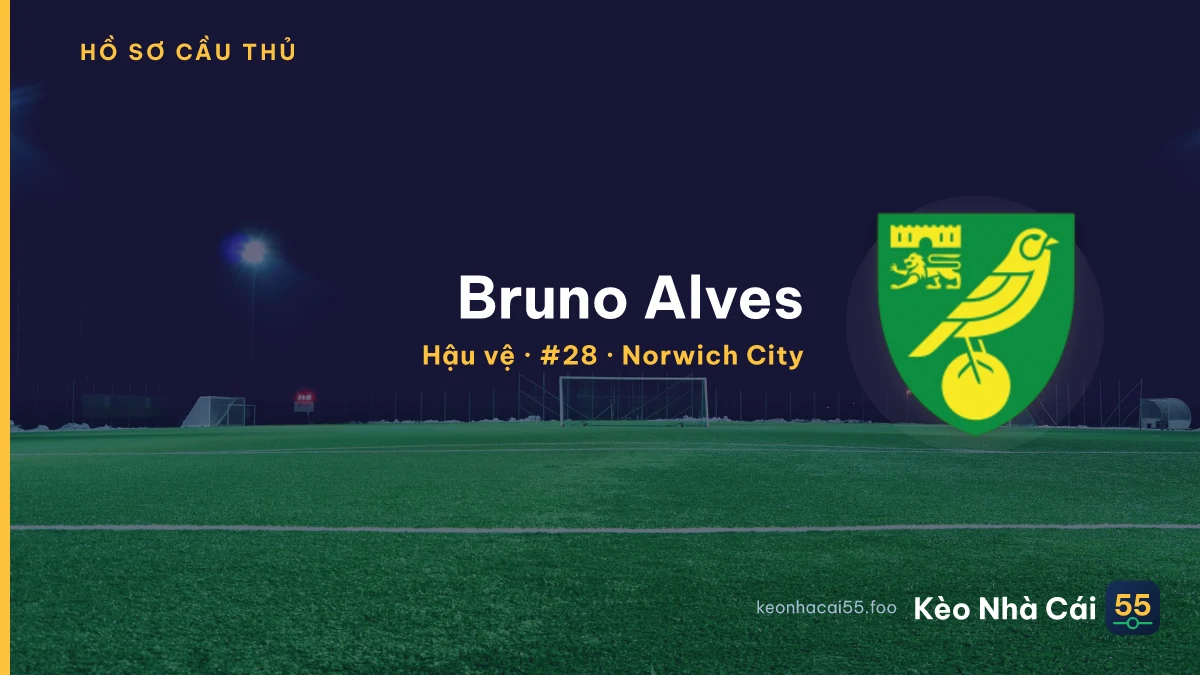 Bruno Alves — Norwich City