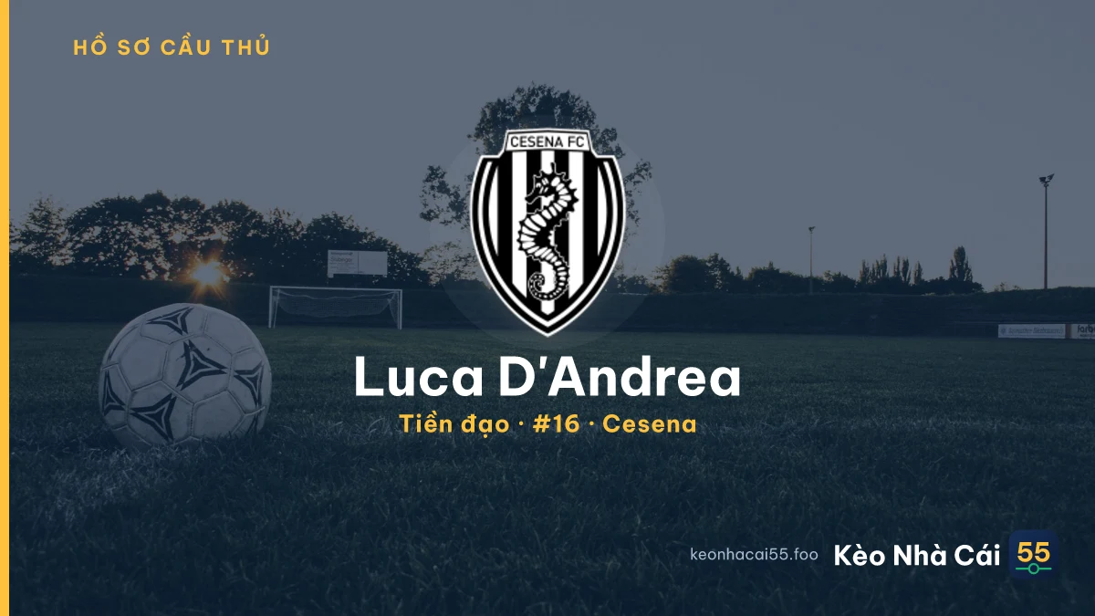 Luca D'Andrea — Cesena